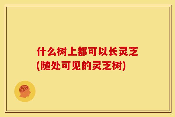 什么树上都可以长灵芝(随处可见的灵芝树)