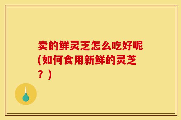 卖的鲜灵芝怎么吃好呢(如何食用新鲜的灵芝?)
