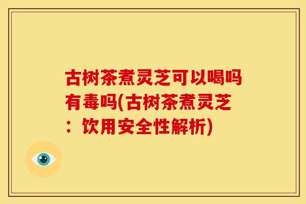 古树茶煮灵芝可以喝吗有毒吗(古树茶煮灵芝:饮用安全性解析)