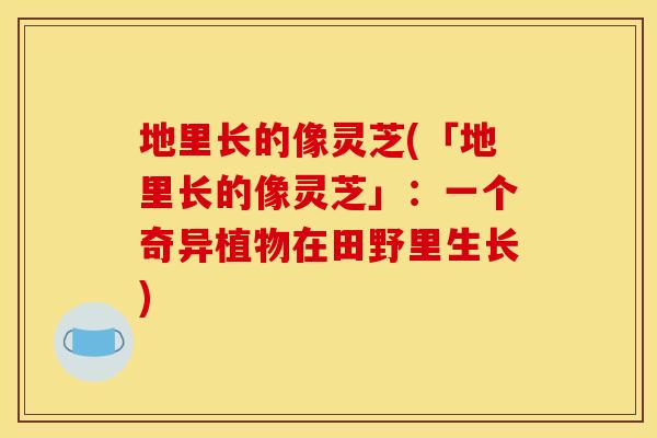 地里长的像灵芝(「地里长的像灵芝」：一个奇异植物在田野里生长)
