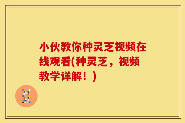小伙教你种灵芝视频在线观看(种灵芝,视频教学详解!)