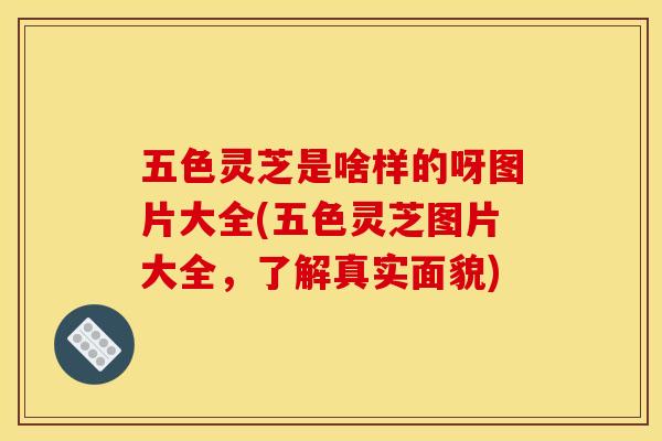 五色灵芝是啥样的呀图片大全(五色灵芝图片大全，了解真实面貌)