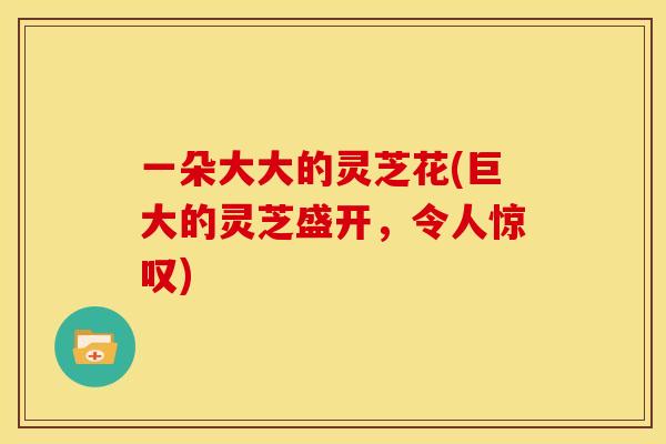 一朵大大的灵芝花(巨大的灵芝盛开,令人惊叹)