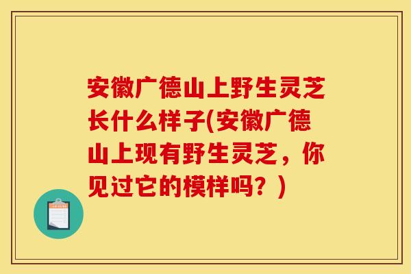 安徽广德山上野生灵芝长什么样子(安徽广德山上现有野生灵芝，你见过它的模样吗？)