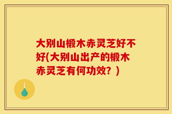 大别山椴木赤灵芝好不好(大别山出产的椴木赤灵芝有何功效？)