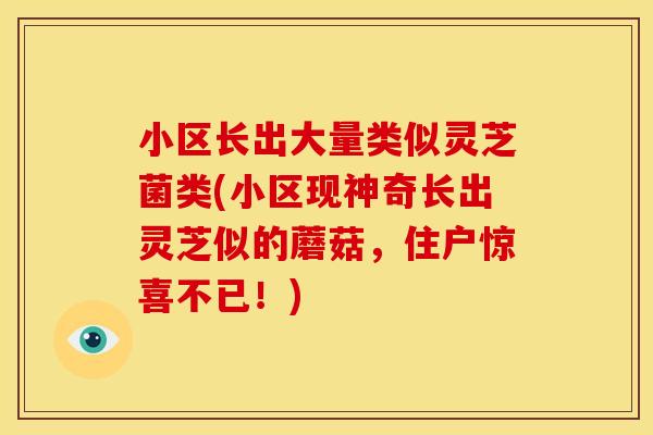 小区长出大量类似灵芝菌类(小区现神奇长出灵芝似的蘑菇,住户惊喜不已!)