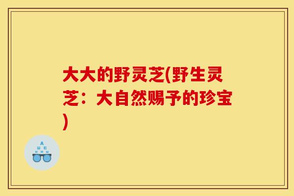 大大的野灵芝(野生灵芝:大自然赐予的珍宝)