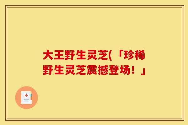 大王野生灵芝(「珍稀野生灵芝震撼登场!」