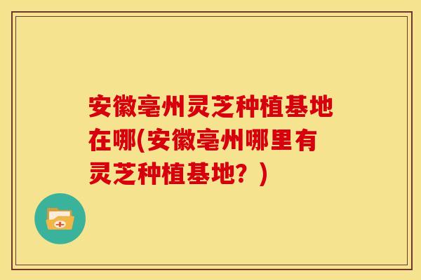 安徽亳州灵芝种植基地在哪(安徽亳州哪里有灵芝种植基地？)