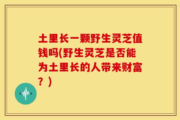 土里长一颗野生灵芝值钱吗(野生灵芝是否能为土里长的人带来财富?)