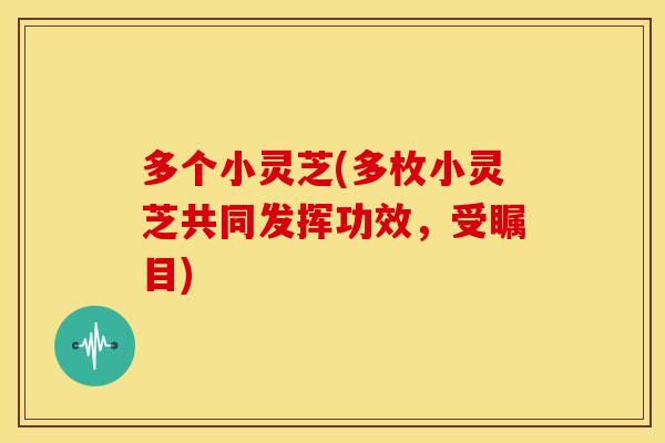 多个小灵芝(多枚小灵芝共同发挥功效，受瞩目)