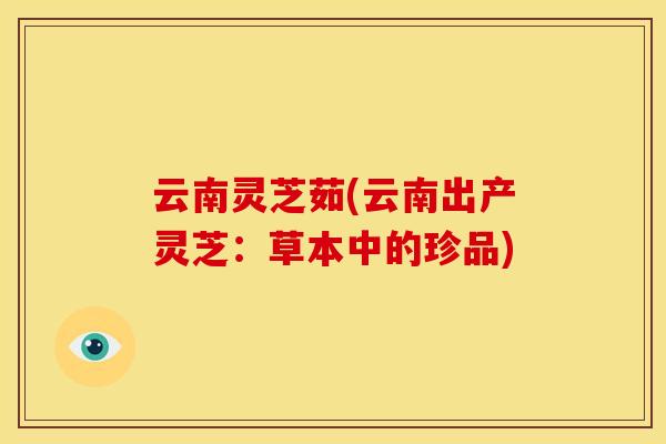 云南灵芝茹(云南出产灵芝:草本中的珍品)