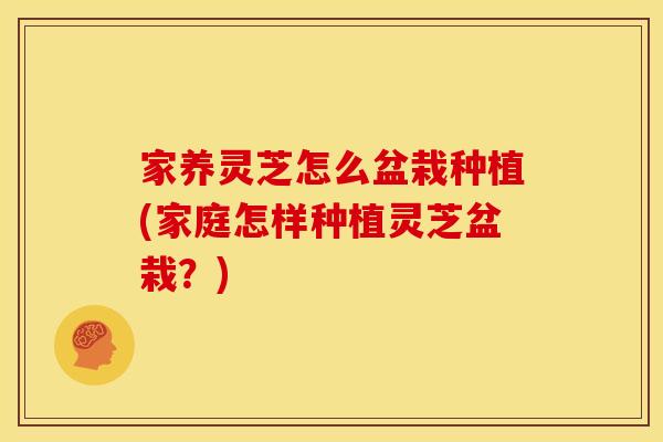 家养灵芝怎么盆栽种植(家庭怎样种植灵芝盆栽？)
