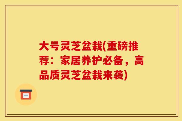 大号灵芝盆栽(重磅推荐:家居养护必备,高品质灵芝盆栽来袭)
