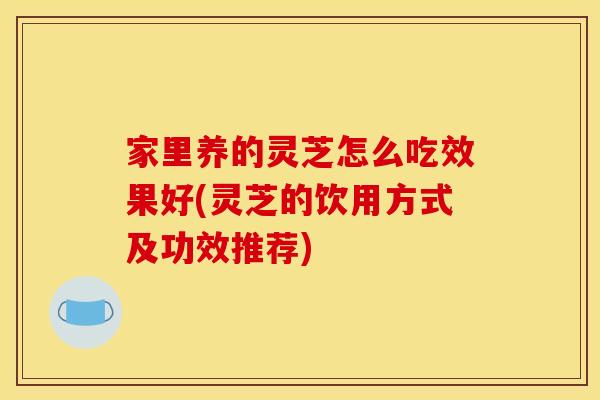 家里养的灵芝怎么吃效果好(灵芝的饮用方式及功效推荐)