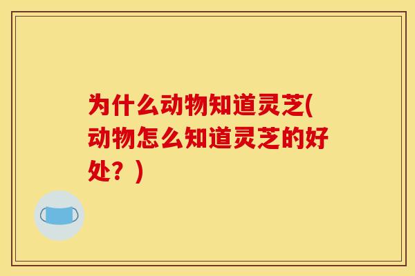 为什么动物知道灵芝(动物怎么知道灵芝的好处？)