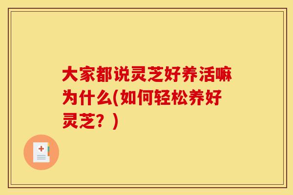 大家都说灵芝好养活嘛为什么(如何轻松养好灵芝?)