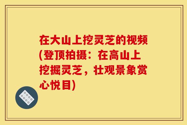 在大山上挖灵芝的视频(登顶拍摄:在高山上挖掘灵芝,壮观景象赏心悦目)