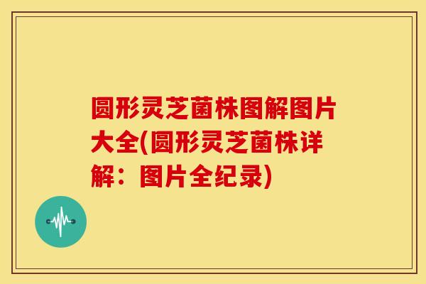 圆形灵芝菌株图解图片大全(圆形灵芝菌株详解:图片全纪录)