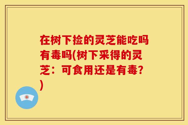 在树下捡的灵芝能吃吗有毒吗(树下采得的灵芝:可食用还是有毒?)