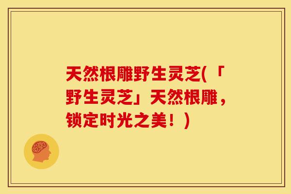 天然根雕野生灵芝(「野生灵芝」天然根雕,锁定时光之美!)