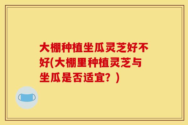 大棚种植坐瓜灵芝好不好(大棚里种植灵芝与坐瓜是否适宜?)