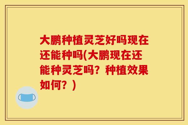 大鹏种植灵芝好吗现在还能种吗(大鹏现在还能种灵芝吗?种植效果如何?)