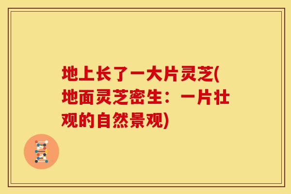 地上长了一大片灵芝(地面灵芝密生：一片壮观的自然景观)