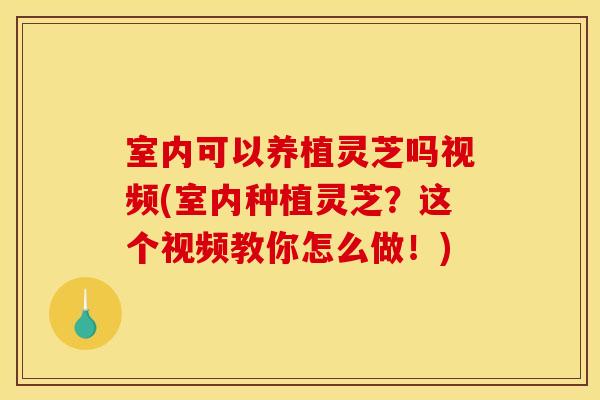 室内可以养植灵芝吗视频(室内种植灵芝？这个视频教你怎么做！)