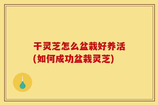 干灵芝怎么盆栽好养活(如何成功盆栽灵芝)