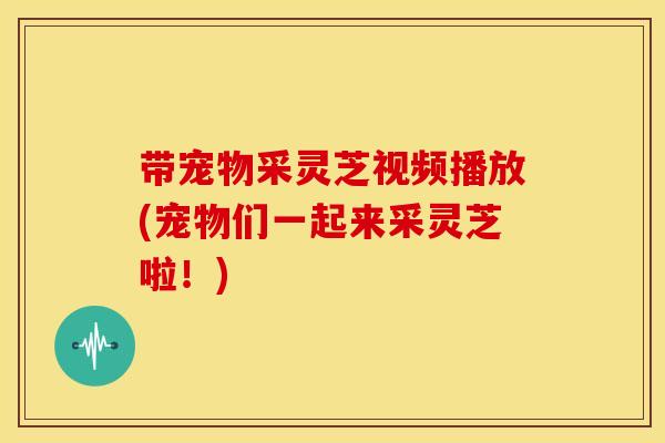 带宠物采灵芝视频播放(宠物们一起来采灵芝啦!)