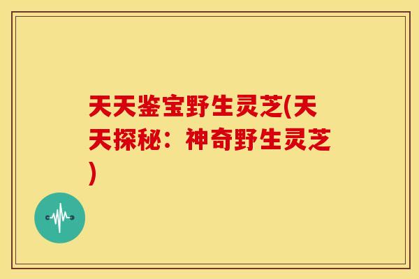 天天鉴宝野生灵芝(天天探秘:神奇野生灵芝)