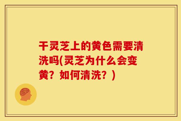 干灵芝上的黄色需要清洗吗(灵芝为什么会变黄?如何清洗?)