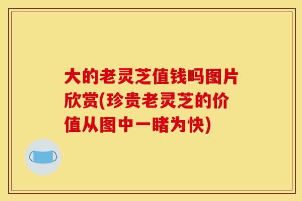 大的老灵芝值钱吗图片欣赏(珍贵老灵芝的价值从图中一睹为快)