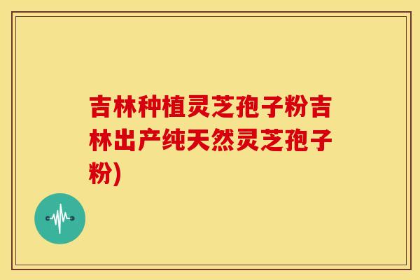 吉林种植灵芝孢子粉吉林出产纯天然灵芝孢子粉)