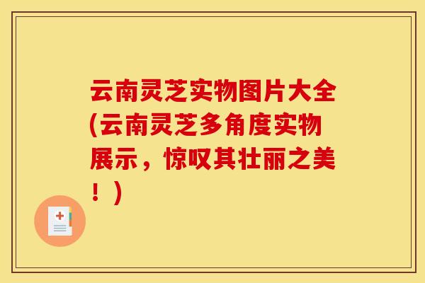 云南灵芝实物图片大全(云南灵芝多角度实物展示,惊叹其壮丽之美!)
