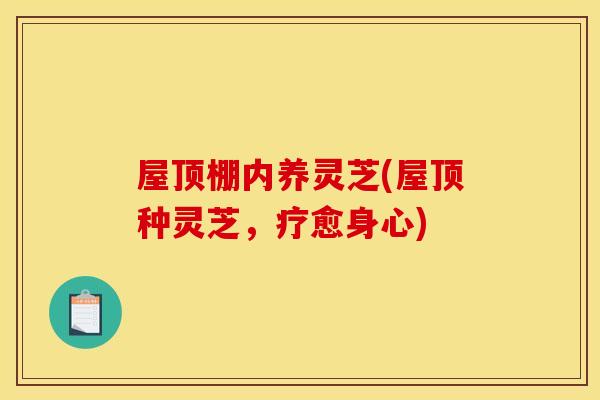屋顶棚内养灵芝(屋顶种灵芝，疗愈身心)