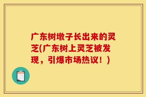 广东树墩子长出来的灵芝(广东树上灵芝被发现，引爆市场热议！)
