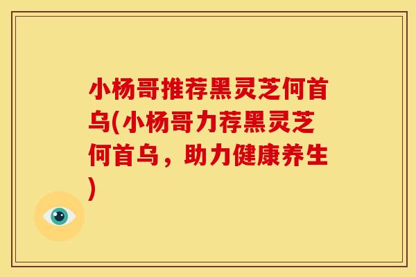 小杨哥推荐黑灵芝何首乌(小杨哥力荐黑灵芝何首乌，助力健康养生)