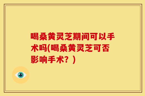 喝桑黄灵芝期间可以手术吗(喝桑黄灵芝可否影响手术?)