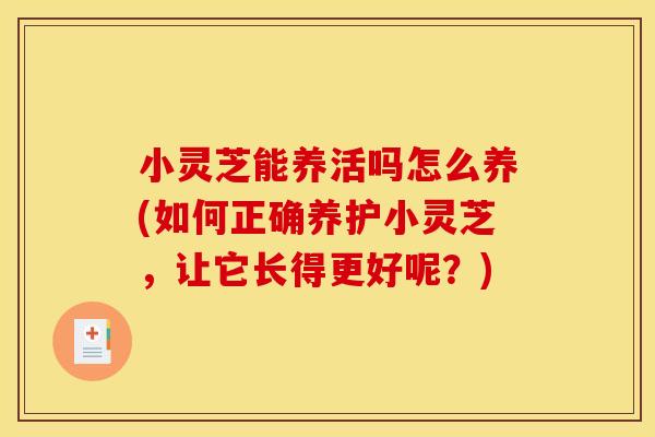 小灵芝能养活吗怎么养(如何正确养护小灵芝,让它长得更好呢?)