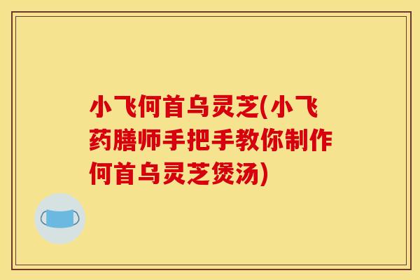 小飞何首乌灵芝(小飞药膳师手把手教你制作何首乌灵芝煲汤)