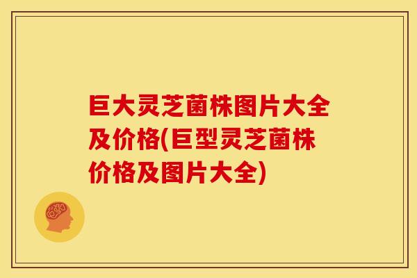 巨大灵芝菌株图片大全及价格(巨型灵芝菌株价格及图片大全)