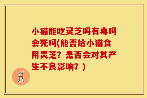 小猫能吃灵芝吗有毒吗会死吗(能否给小猫食用灵芝？是否会对其产生不良影响？)