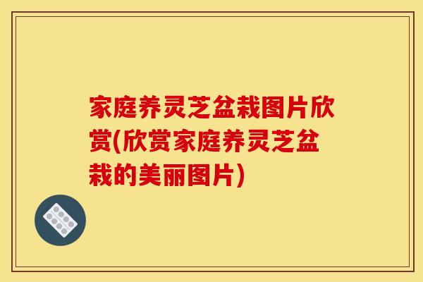 家庭养灵芝盆栽图片欣赏(欣赏家庭养灵芝盆栽的美丽图片)