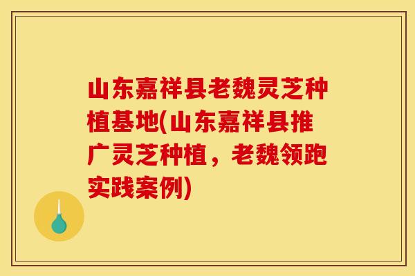 山东嘉祥县老魏灵芝种植基地(山东嘉祥县推广灵芝种植,老魏领跑实践案例)