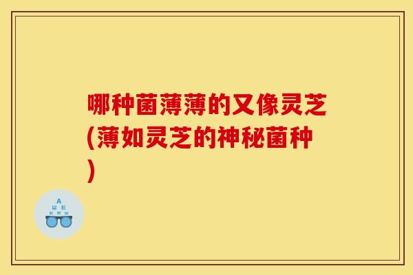 哪种菌薄薄的又像灵芝(薄如灵芝的神秘菌种)