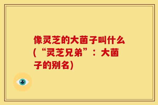 像灵芝的大菌子叫什么(“灵芝兄弟”：大菌子的别名)
