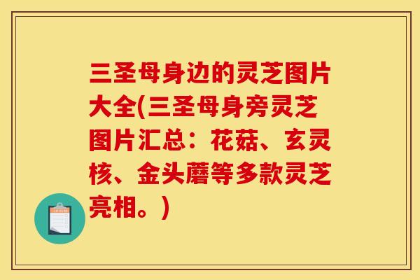 三圣母身边的灵芝图片大全(三圣母身旁灵芝图片汇总:花菇、玄灵核、金头蘑等多款灵芝亮相。)