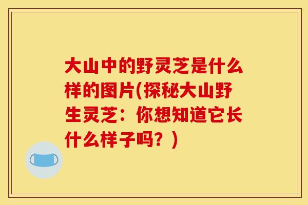 大山中的野灵芝是什么样的图片(探秘大山野生灵芝:你想知道它长什么样子吗?)